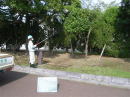 薬剤散布の様子